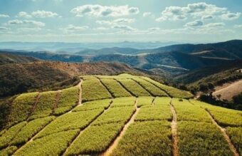 Brazílie: země slunce a prvotřídních surovin
